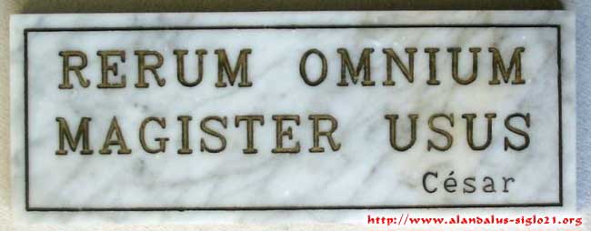 Csar, RERUM OMNIUM MAGISTER USUS